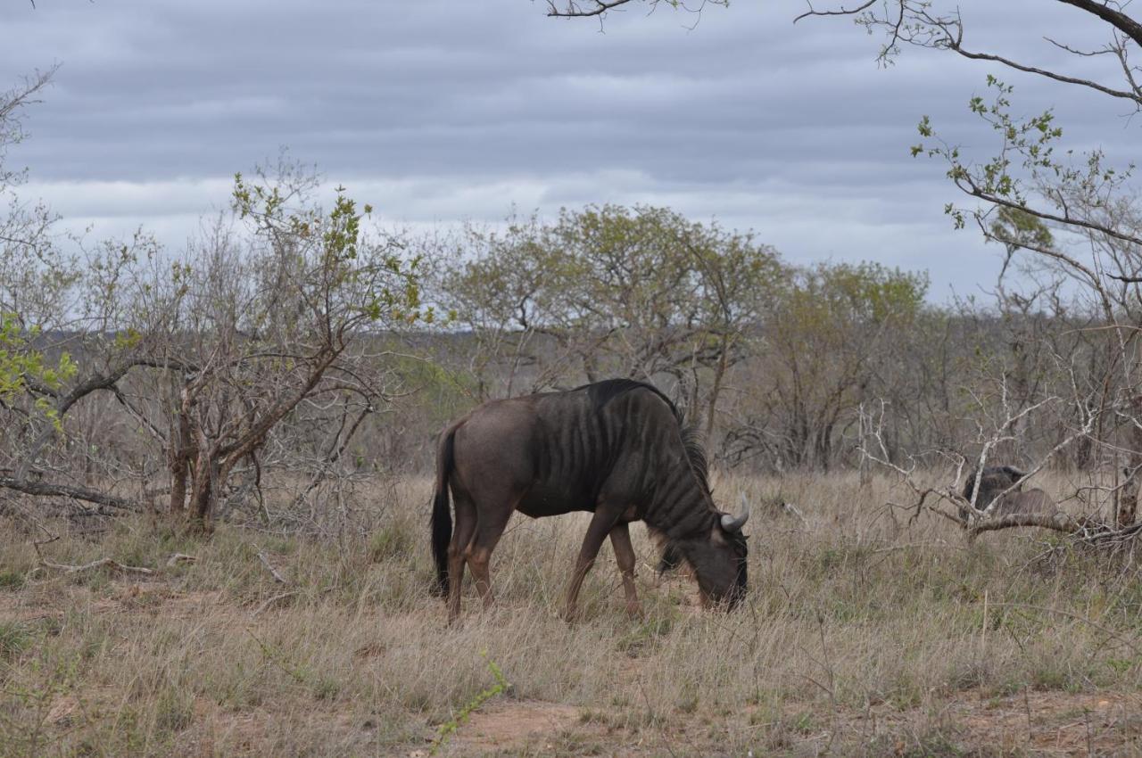 Hazyview Buffalo Game Lodge Ngoại thất bức ảnh